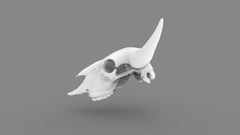Tailwater - Buffalo Skull - 3D White