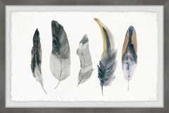 Shaded Feathers