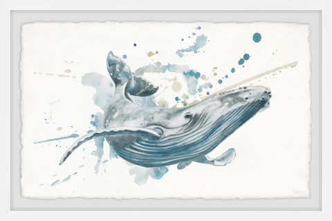 Blue Whale Splash