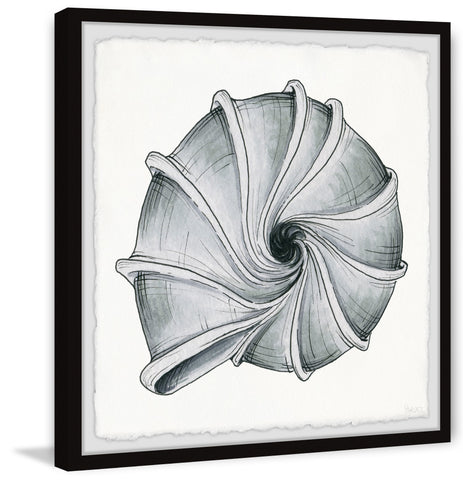 Twirling Shell