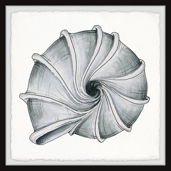 Twirling Shell – PARVEZ TAJ
