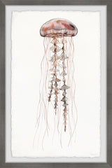 Hippy Jellyfish