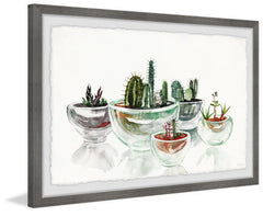 Cactus in a Bowl