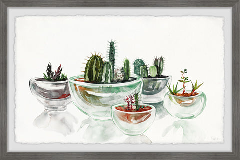 Cactus in a Bowl