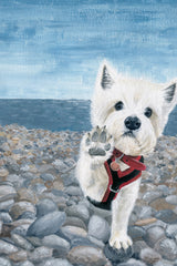 Doggie High-5