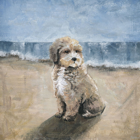Dog by the Beach
