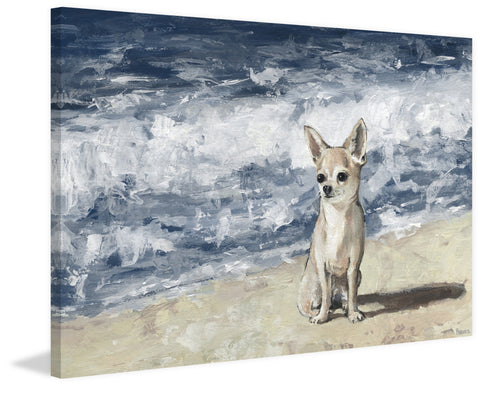 Chihuahua by the Beach