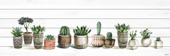 Potted Cactus Line