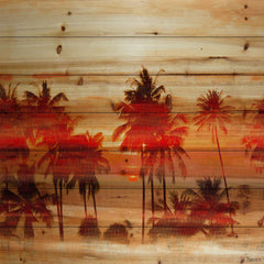 Crimson Palms