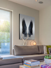 Black Wings