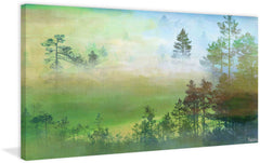 Misty Pine Forest