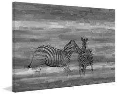 Zebra Romp