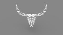 Canones Creek - Texas Longhorn Skull - 3D White