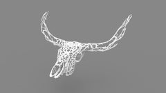 Canones Creek - Texas Longhorn Skull - 3D White