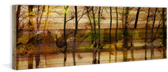 Lake Trees