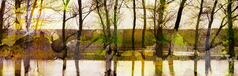 Lake Trees