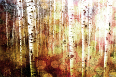 Aspen