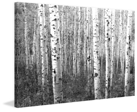Aspen Highlands