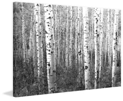 Aspen Highlands
