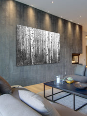Aspen Highlands