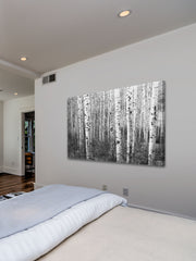 Aspen Highlands