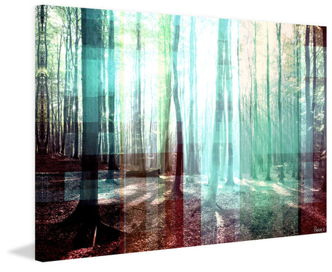 Tree Rays