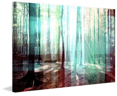 Tree Rays