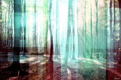 Tree Rays