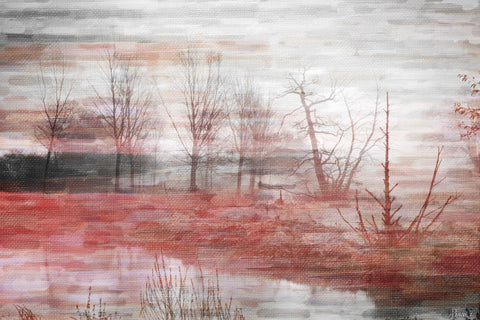Back Yard Lake