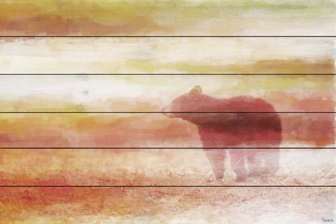 Lone Bear