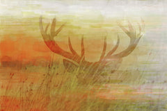 Grass Horns