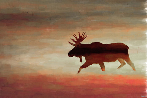 Moosehead