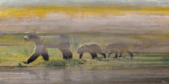 Mama and Cubs