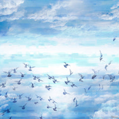 Meadow Flock