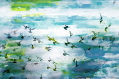 Marsh