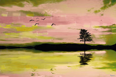 Birds in the Sunset