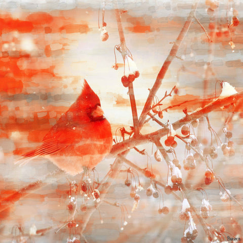 Red Mountain