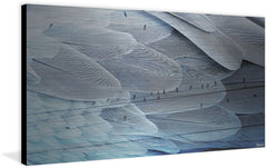 Silver Feathers