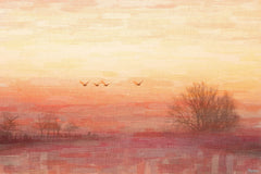 Dawn of the Day