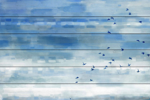 Blue Sky Birds