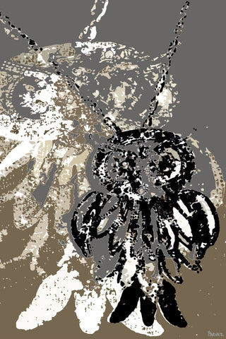 Pale Silhouette