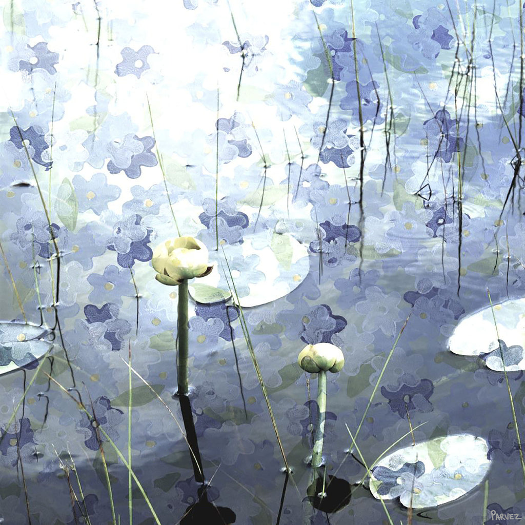 Blue Water Lily Pads