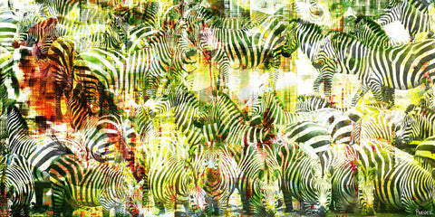 Many Zebras