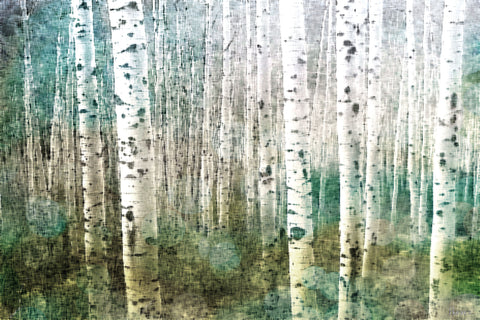 Aspen Green