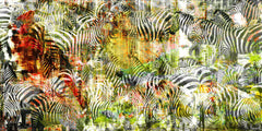 Zebras Zebras