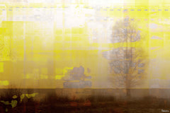 Golden Haze