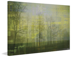 Green Misty Haze