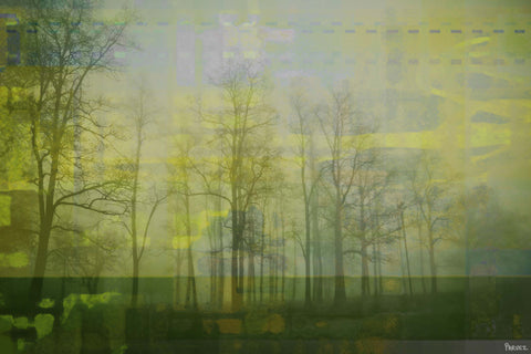 Green Misty Haze