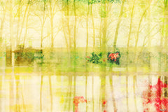 Yellow Lake