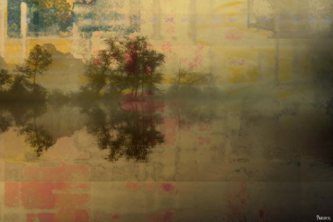 Lake Tree Reflection